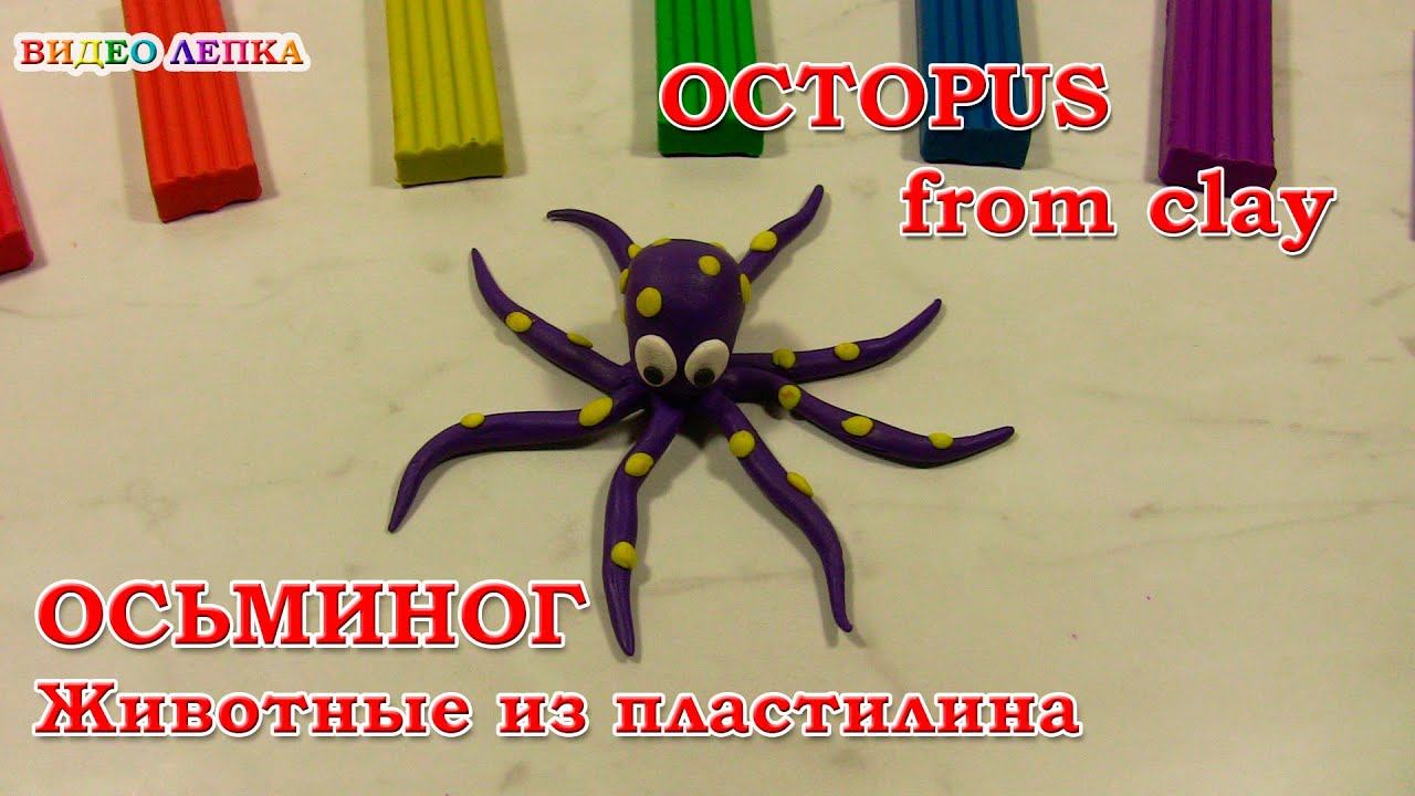 ОСЬМИНОГ - Лепим из пластилина | Видео Лепка