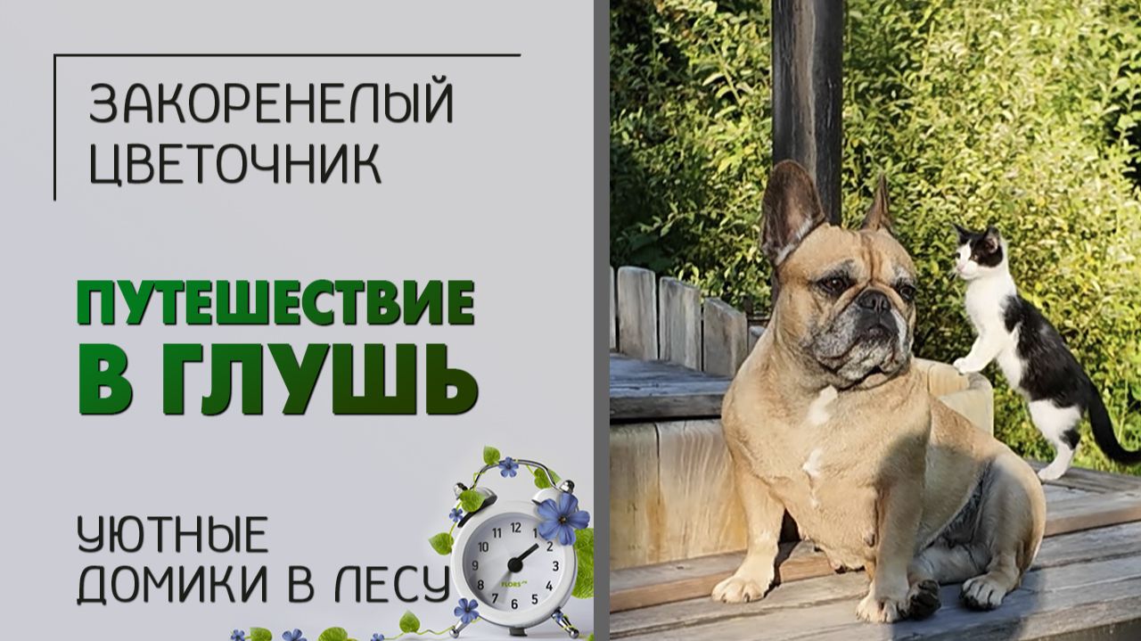 Путешествия