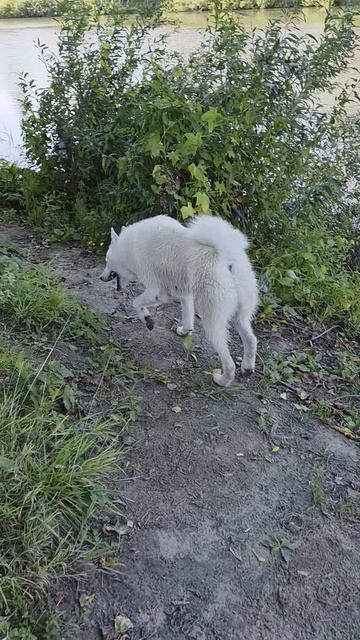 движение это жизнь