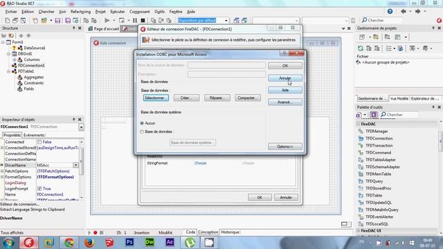 Delphi Tutorial Programming Firedac