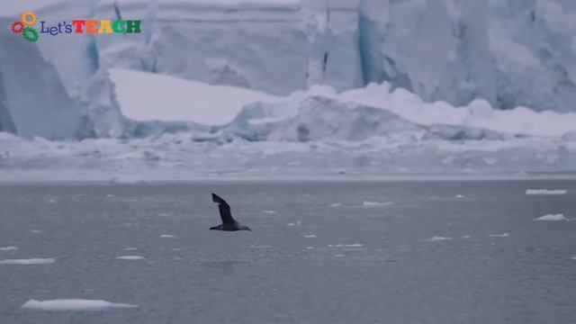 10 Interesting Facts About Our Planet Earth