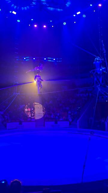 🪢Канатоходцы,⛵️Костромской🎪цирк.💃Девочка и слон.🐘 #цирк  #кострома #весна2026