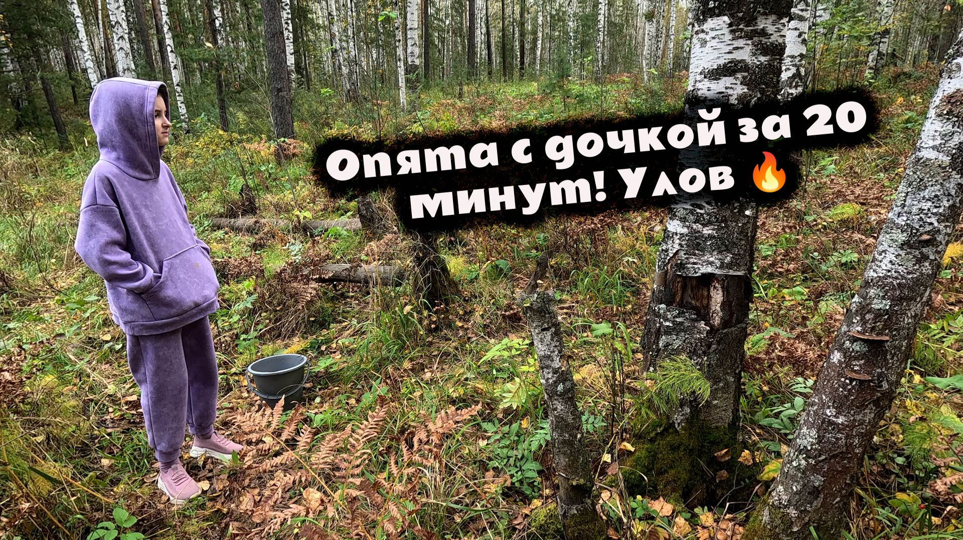 Дочка — главный грибной сыщик! Собрали опят за 20 минут 🔥 #Тихая охота #Опята #Грибы