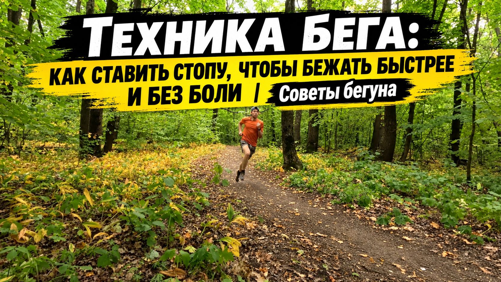 Тренировки, о тренировках и прочее