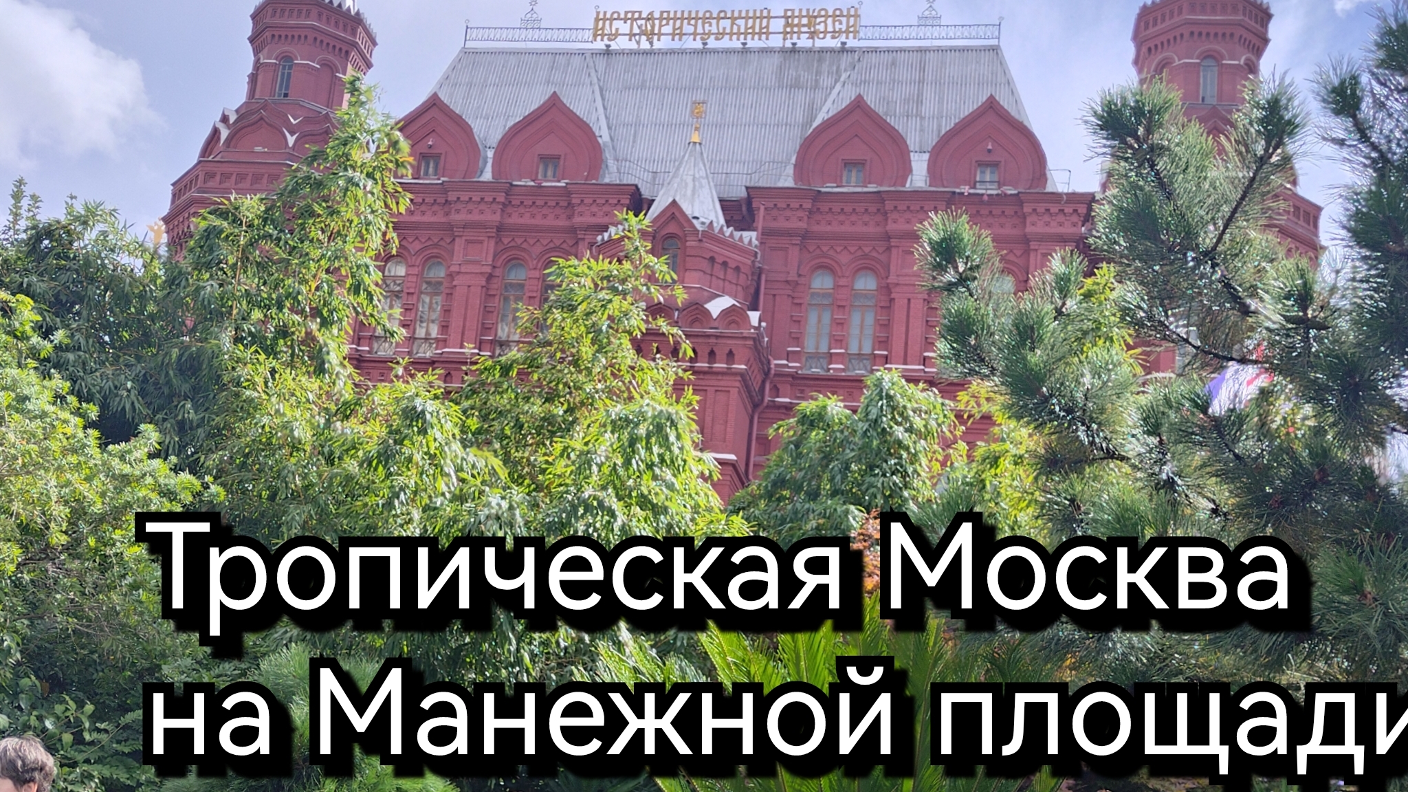 Тропическая Москва на Манежной площади. День города.