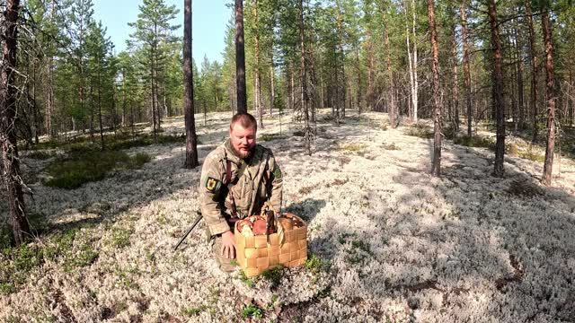 Грибник в ШОКЕ от такого количества БЕЛЫХ грибов. Я нашёл боровики на новом месте