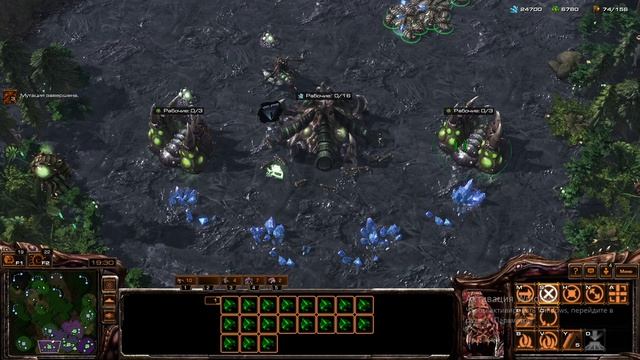 Zerg