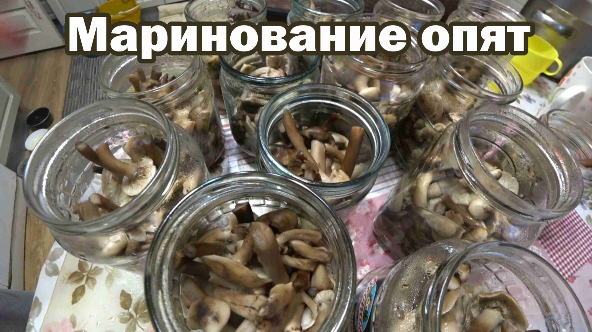Маринованные опята