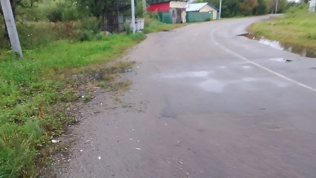 ВЧЕРА ЛЕТО🌿/ СЕГОДНЯ ОСЕНЬ 🍁
