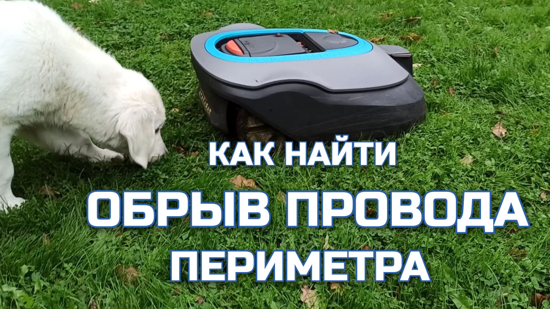 Косилки и триммеры