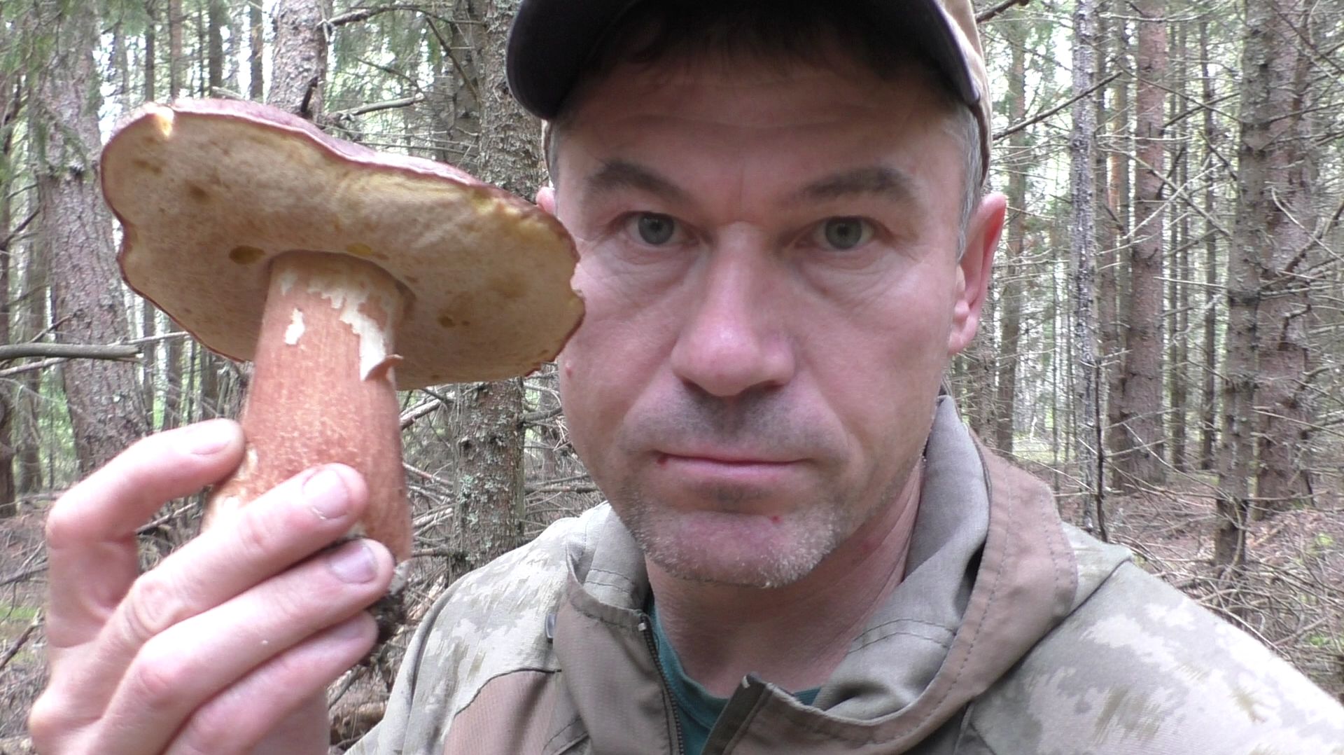 ОДИН В ЛЕСУ:УШЁЛ В ЛЕС ПО ГРИБЫ 🍄 НЕ ГУСТО НО И НЕ ПУСТО (спасибо лесу 🤝)