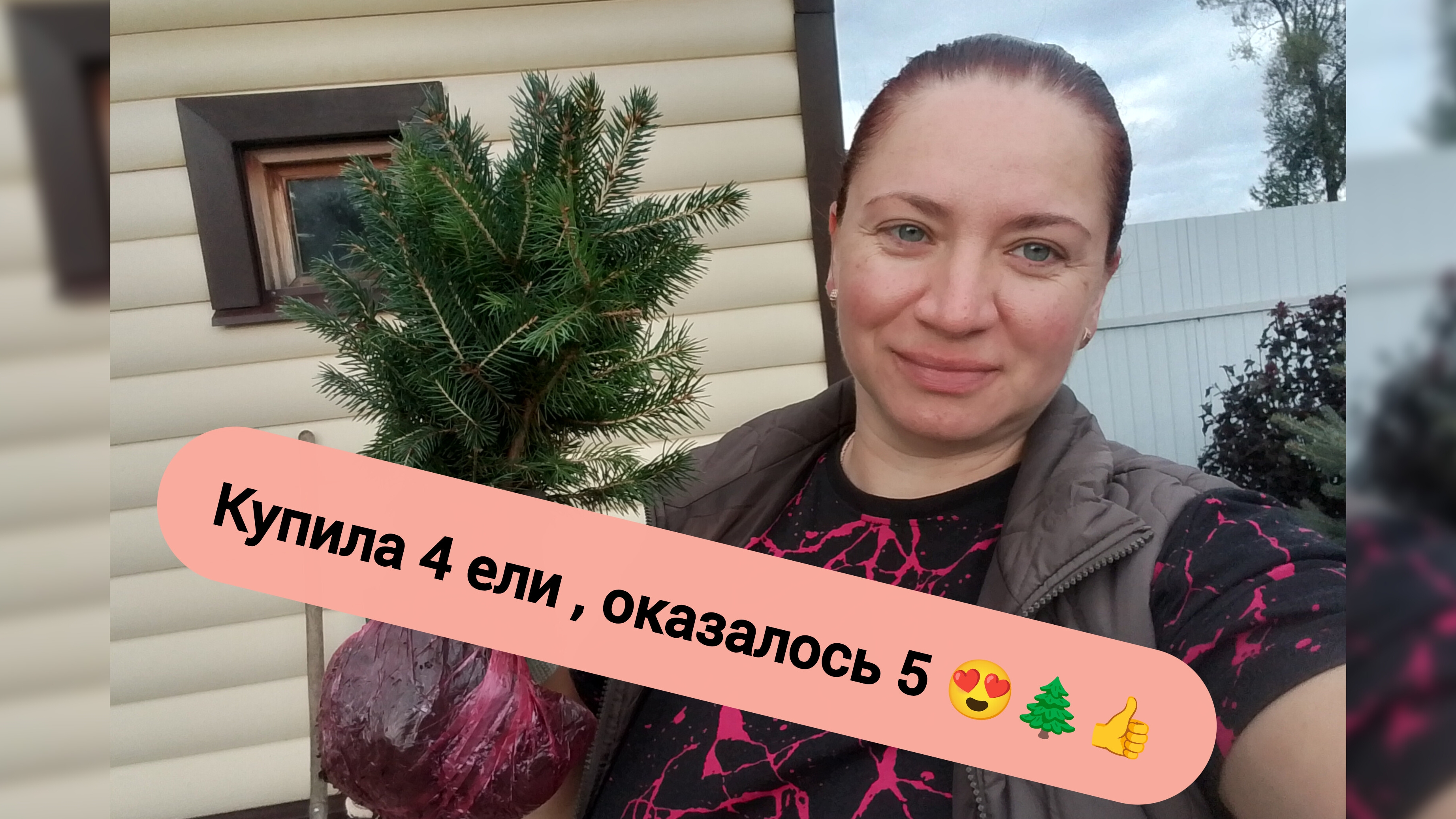 Новые растюхи в моём саду 🌲🌹😍