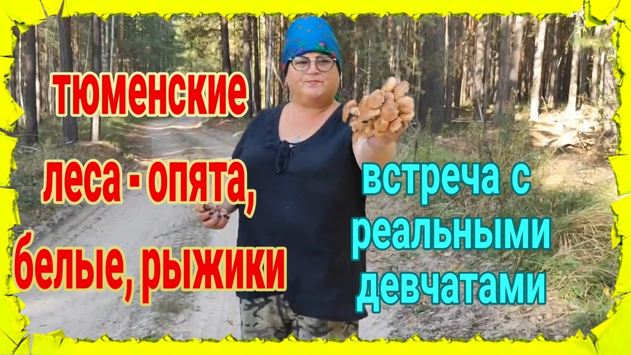 Из Ейска в Тюмень.Опята, рыжики, сбор грибочков под Тюменью. Она настоящая! 😁😁😉Сломалась машина.