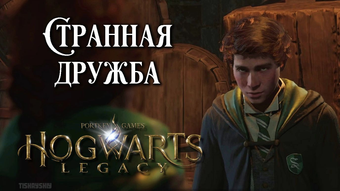 Странная дружба. Hogwarts Legacy прохождение. In The Shadow Of Friendship