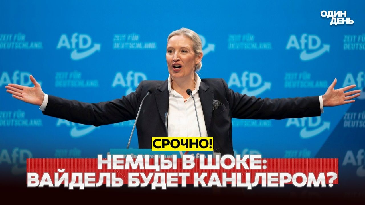 Альтернатива для Германии требует отдать им власть