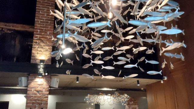 Белуга. Архангельск