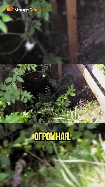Опасная глубокая шахта без ограждений