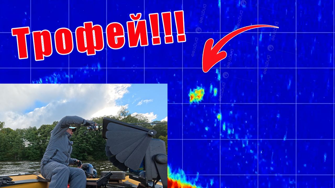 ОСЕННИЙ КЛЁВ!!! ПОИСК ТРОФЕЙНОГО СУДАКА В НАЧАЛЕ ОСЕНИ!!! Рыбалка с Garmin Panoptix LiveScope!