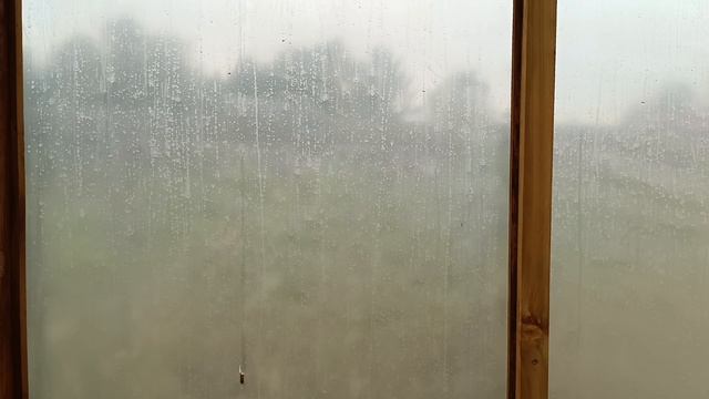 Доделал деревянную теплицу. Ухожу в отпуск.