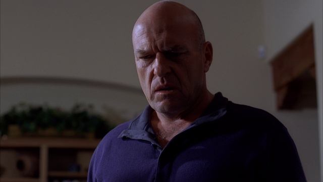 Breaking Bad Season 5 Episode 11 (series, 2013)