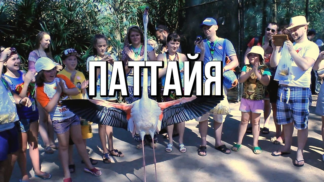 Паттайя. Танец Фламинго