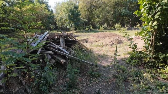 4 сентября 2026г. Разобрала бассейн и одновременно все полила)