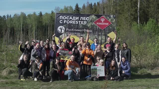 Forester восстанавливает леса