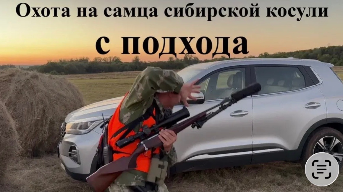 Охота на самца сибирской косули с подхода