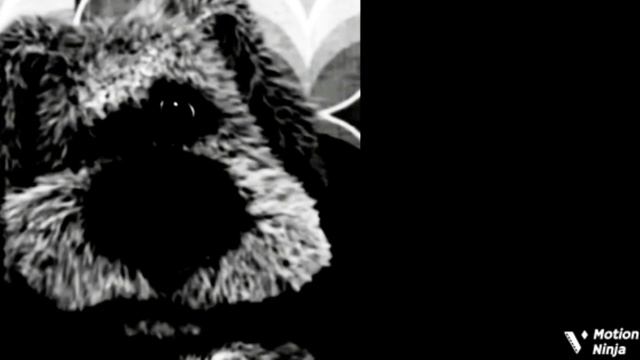 Gambola (mini Slowed)