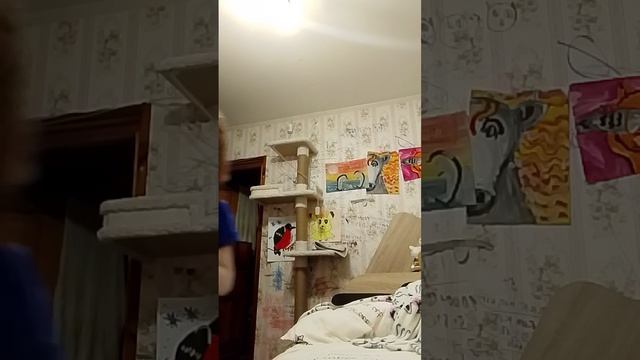 VID_20260907_132514