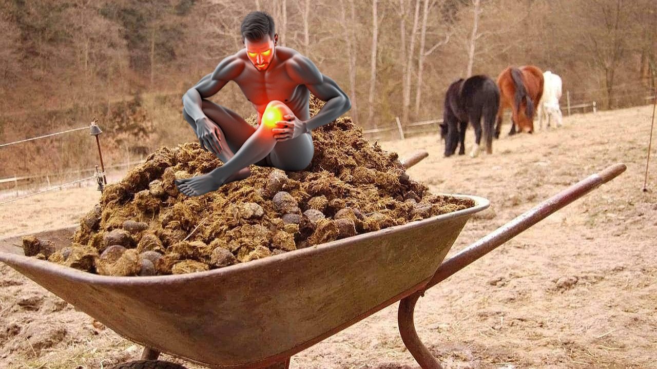 КОНСКИЙ НАВОЗ БЛАЖЕНСТВО ДЛЯ СУСТАВОВ. РЕЦЕПТЫ ИЗ СТАРЫХ ГАЗЕТ ЗОЖ