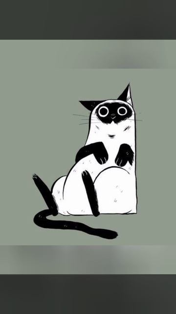 Котики 😻
