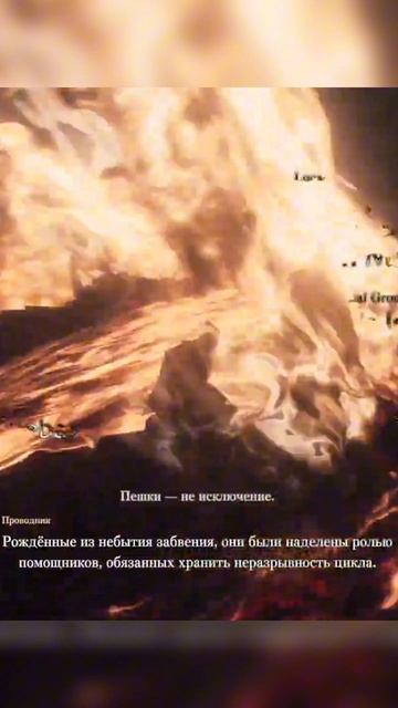 Я - главная пешка В Dragon's Dogma 2!!!