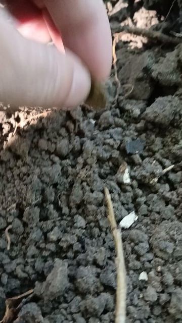 Неожиданная и приятная находка