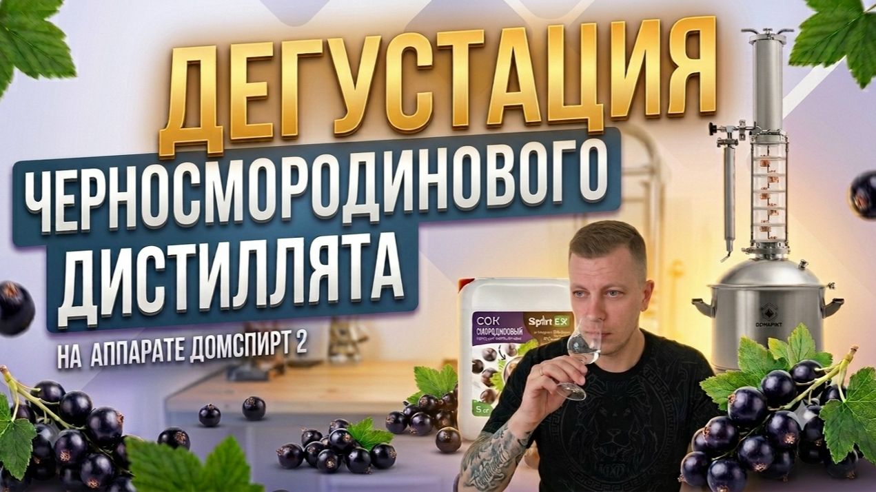 Дегустация. дистиллят черная смородина