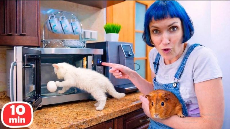 📀 СБОРНИК: Маша Капуки и Кефир — все приключения в одном видео!