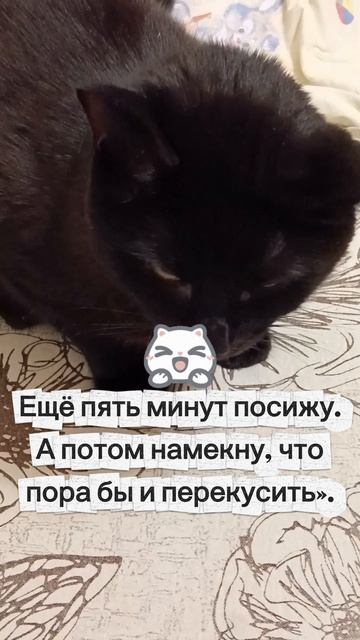 5 минут и снова есть 
😻