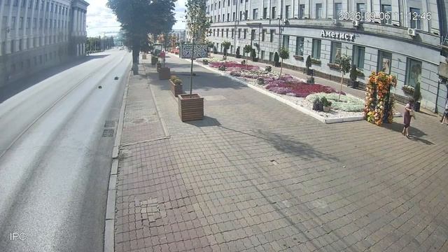 В Курске женщина повредила цветы и фотозону на улице Ленина