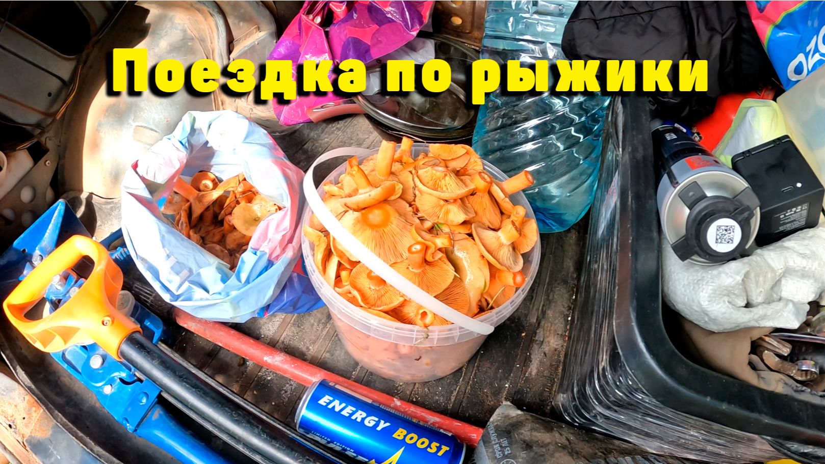 Отличная поездка по рыжики