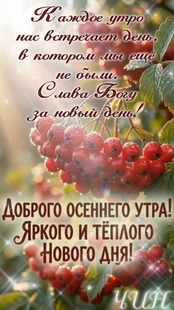 Доброго осеннего утра! Тёплого и яркого нового дня!