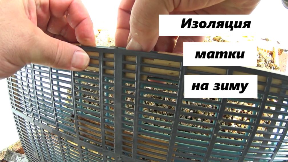 Изоляция на зиму и мокрая печатка у Бакфаста.