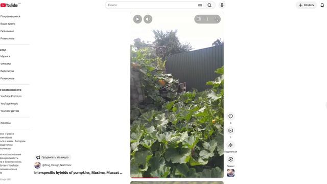 Подвои бахчи и бахча на основе сложных межвидовых гибридов, обзор работы, результаты и перспективы.