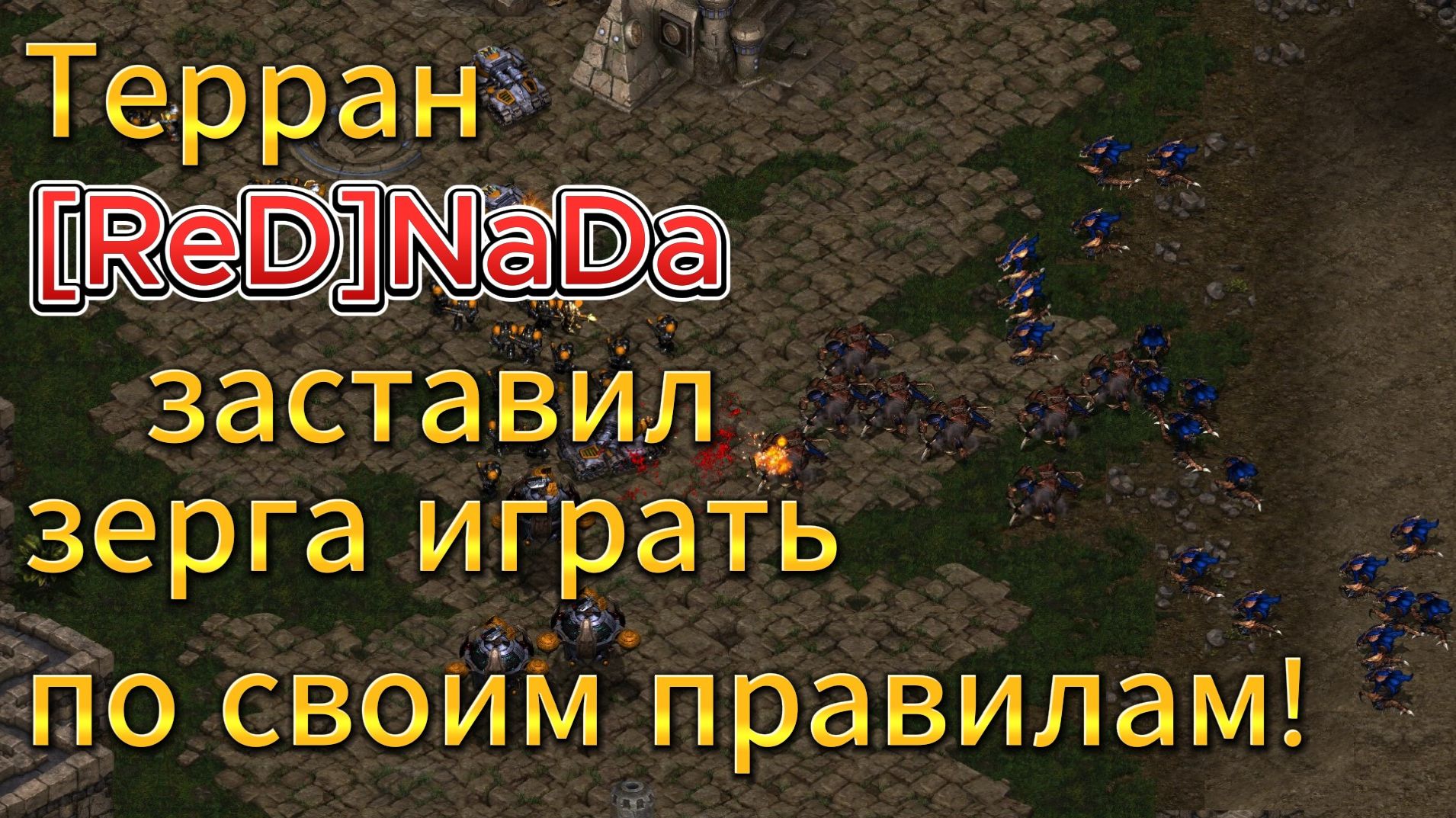 Обладатель золотой мыши [ReD]NaDa и баркод-штрихкод зерг играют в StarCraft Remastered