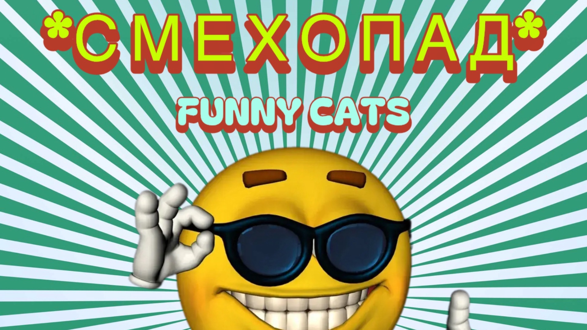 FUNNY CATS 2026 | ПОПРОБУЙ НЕ ЗАСМЕЯТЬСЯ 🔥ТОП ПОДБОРКА СМЕШНЫХ КОТОВ 2026 ❤️🐱