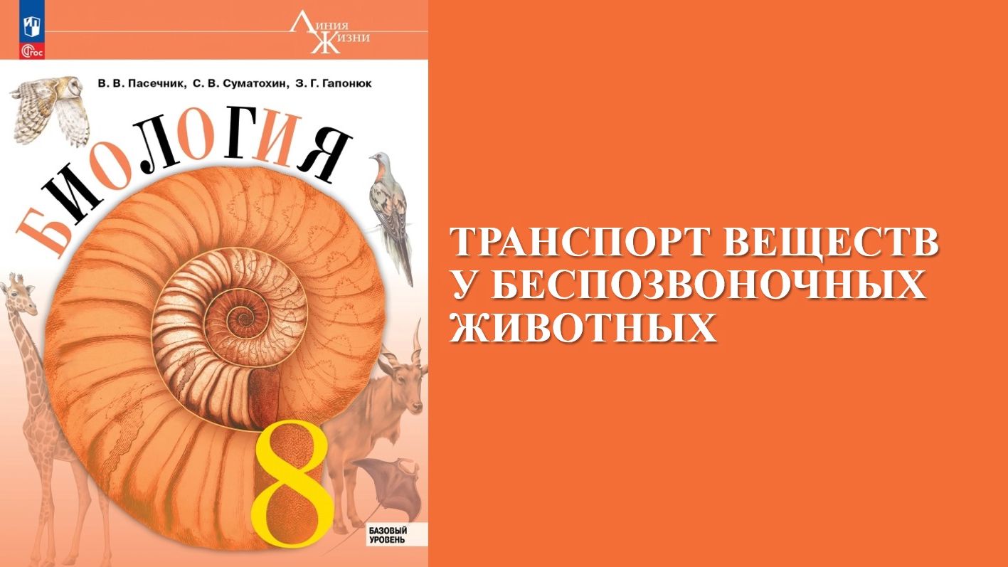 Урок 9. Транспорт веществ у беспозвоночных животных