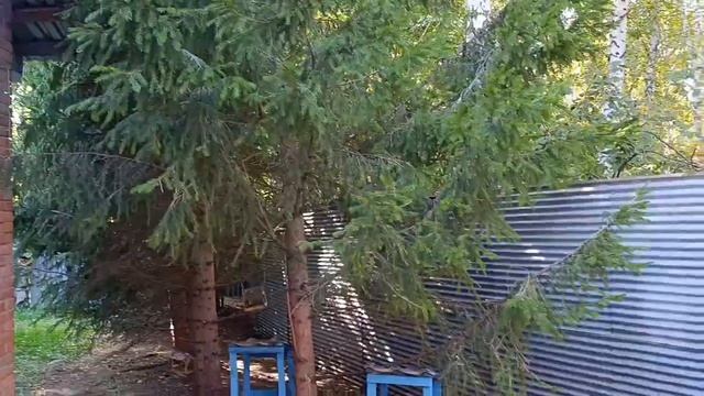 устали сегодня