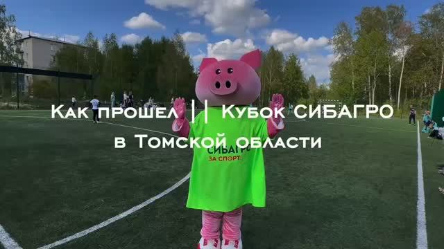 Социальные проекты