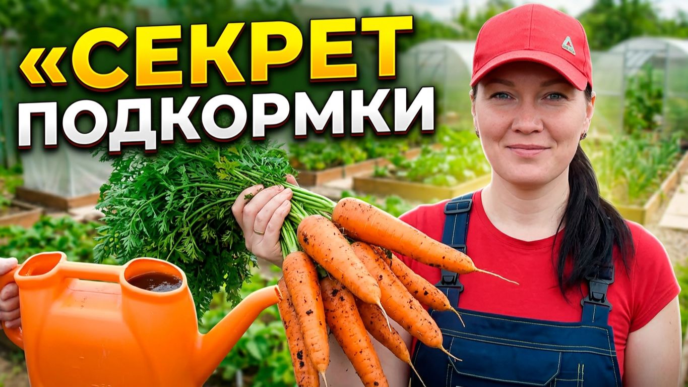 МОРКОВЬ