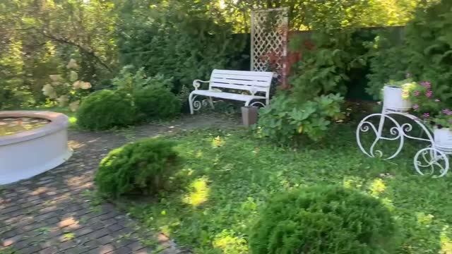 Осенний сад в Краснодарском крае.Цветение красивых бархатцев и необычных цинний!