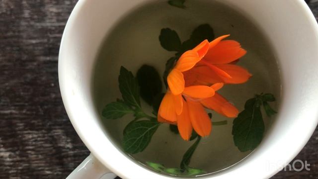 Календула раскрывается в кипятке